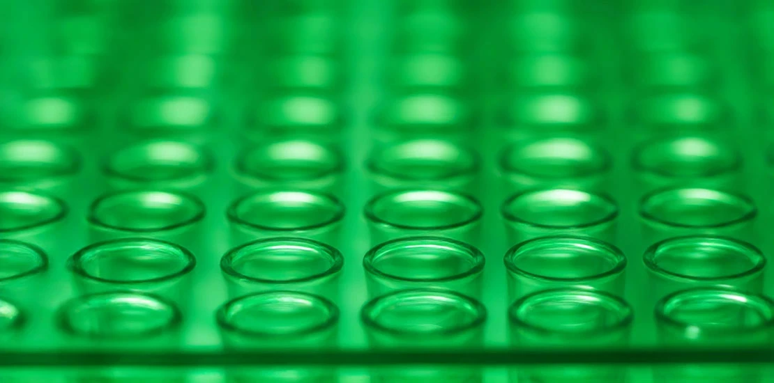greenrows-of-vials-in-biopharma-lab.jpg